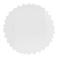 thumbnail image 1 of LEEYNEER 30 Sheets Polystyrene Foam Board Printable Vinyl Office White, 1 of 8