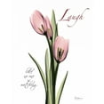 thumbnail image 2 of Koetsier, Albert 20x24 Black Ornate Wood Framed with Double Matting Museum Art Print Titled - Tulip in Pink - Laugh, 2 of 4
