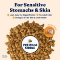 thumbnail image 4 of Solid Gold Sensitive Stomach Dry Cat Food - Made with Real Quail and Pumpkin - Winged Tiger Grain Free Cat Food for Adult and Senior Cats - Promotes Gut Health and Immune Support - 6 lb, 4 of 9