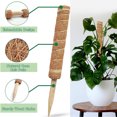 thumbnail image 4 of CAROOTU Plante Réutilisable Escalade Support Durable Plantes à Fleurs pour Balcon Jardin Cour Facile à Utiliser, 4 of 7