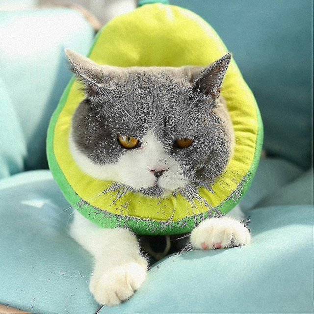 Collar de recuperación para gatos, collar de recuperación para gatos, collar protector, ajustable, cómodo, cono de curación de borde suave, diseñado para gatos, tamaño