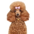 thumbnail image 4 of OULII 1Set Dog Jewelry Large for Pet Owners Home Use, 4 of 8