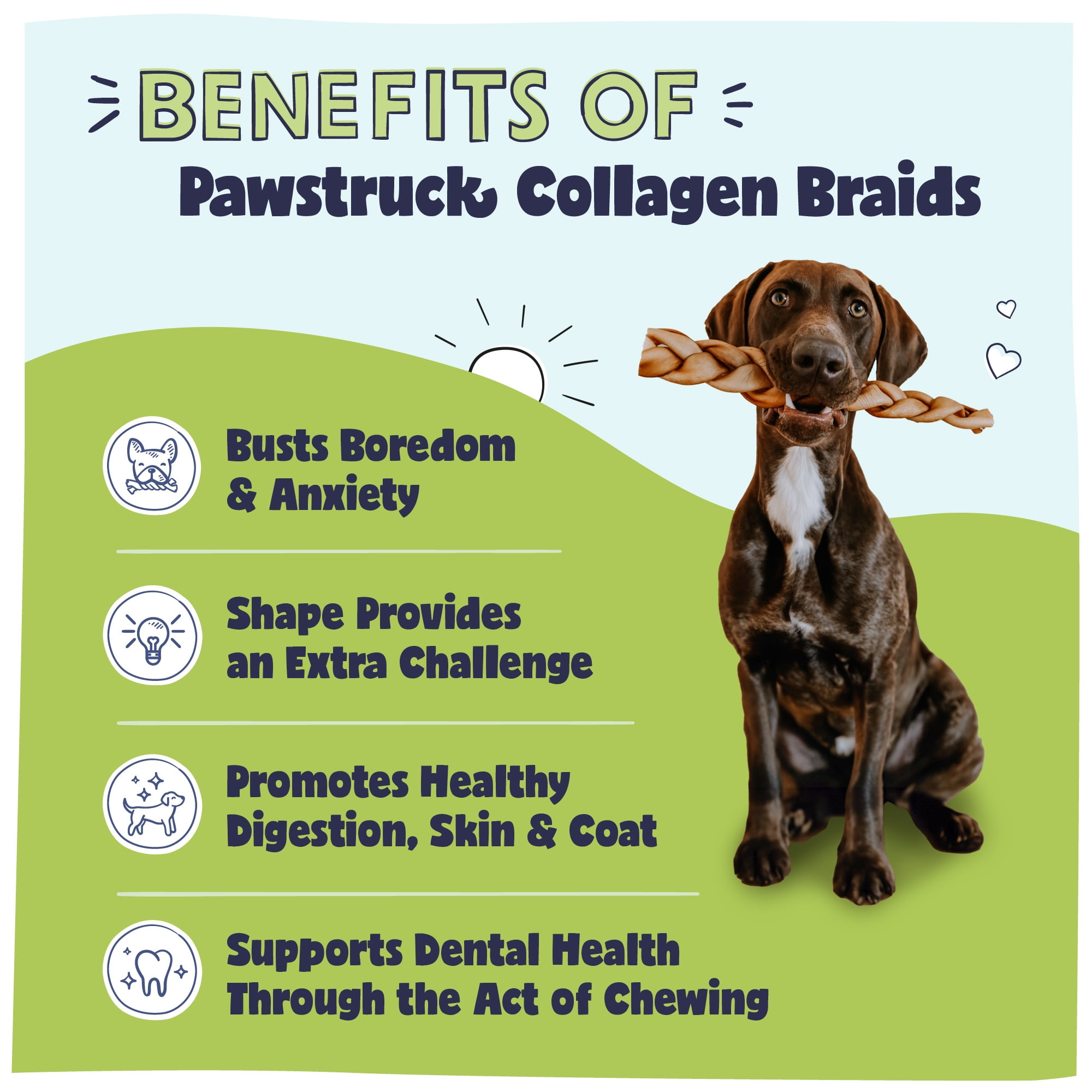 (4 pack) Pawstruck Natural Large Braided Beef Collagen Sticks, Single Ingredient Chew for Dogs, 2pk