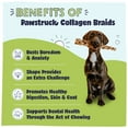 thumbnail image 4 of Pawstruck Natural Large Braided Beef Collagen Sticks, Single Ingredient Chew for Dogs, 2pk, 4 of 11
