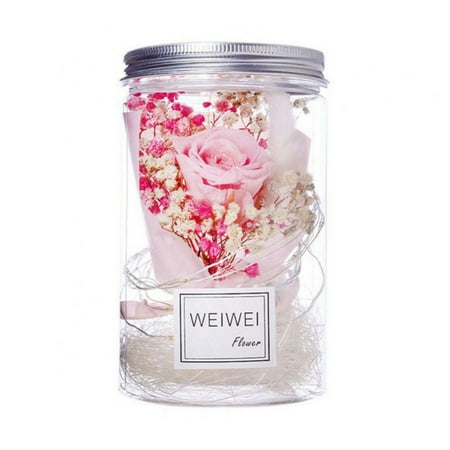 

Newway Eternal Life Night Light Graduation Bouquet Ornaments Festival Mother s Day Valentine s Day Gifts Full Stars Dried Lights Pink