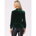 thumbnail image 3 of DARING DIVA Women's Stand Collar Elegant Velvet Long Sleeve Tops S Dark Green, 3 of 6