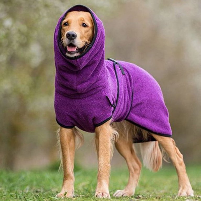 Purple hot sale dog jacket