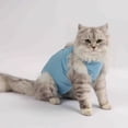 thumbnail image 6 of Cheers.US Cat Recovery Suit Kitten Recovery Suit for Cats and Dogs Abdominal Skin Anti Licking Pajama Suit, 6 of 7