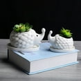thumbnail image 6 of BToBackYard Garden Decor Animal Flowerpot Pot Bottle Cute Ceramic Tabletop Potted Lovely Decorations Cartoon Hedgehog Succulent, 6 of 14