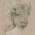 thumbnail image 2 of Wang, Melissa 26x26 Gold Ornate Wood Framed with Double Matting Museum Art Print Titled - Bison Sketch I, 2 of 4