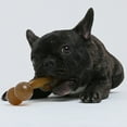 thumbnail image 2 of Jouet à Mâcher pour Animal, Créatif, en Forme d'Os, Dentition pour Chien Toy Dog, Jouet à Mordre pour Chien Chiot, 2 of 6