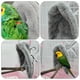 thumbnail image 4 of ColoMX 2 unids creativo pájaro nido loro jaula jaula suave mascota manta invierno cálido pájaro nido, 4 of 8