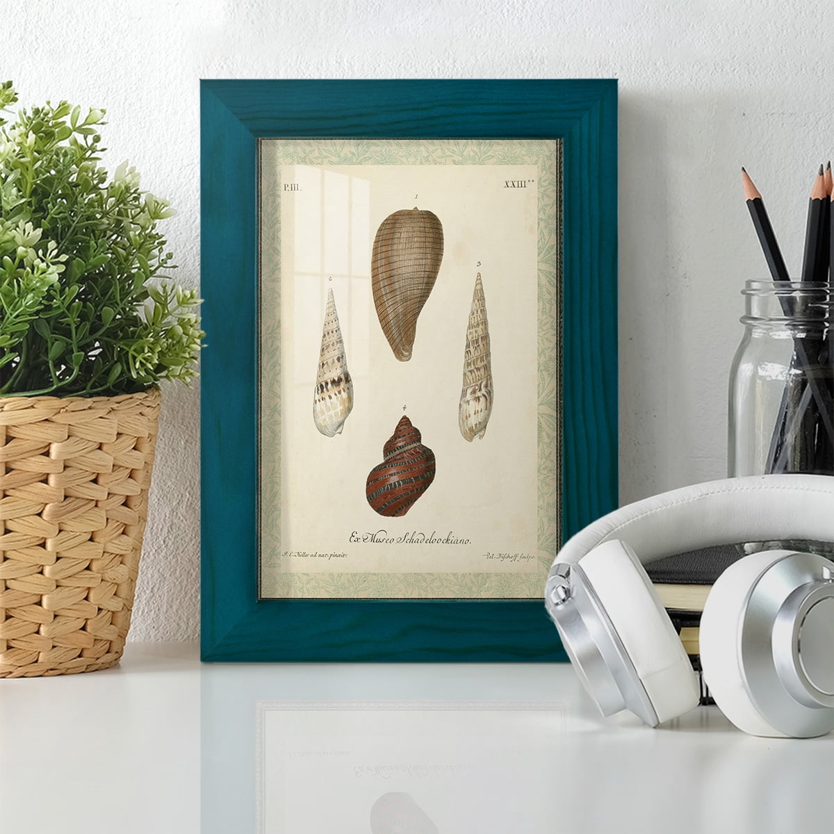 Bookplate Shells V - Framed Print w/glass - Ocean Blue