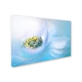 thumbnail image 3 of Merchandise, 3 of 4