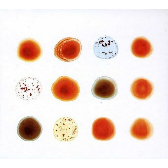 Peter Gabriel - Scratch My Back and I'll Scratch Yours - Music & Performance - CD