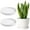White, variant on 2 Pcs Ceramic Plant Pot Saucers, Modern Round Drainage Trays for Indoor Planters, Black Matte Finish Pot Coasters for Home, Office, Windowsill Decor, 6.2 x 0.8 in