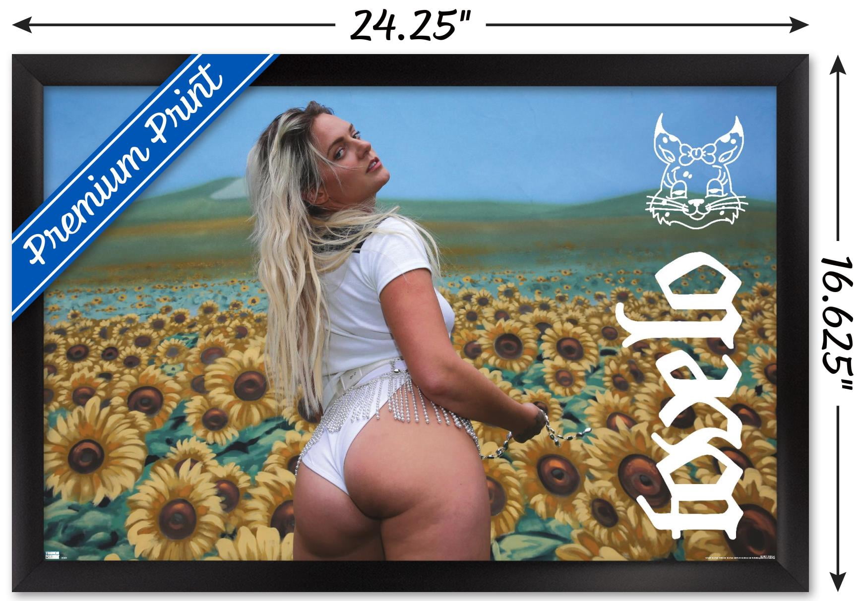 Tove Lo - Sunshine Kitty Wall Poster, 14.725" x 22.375", Framed