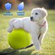 thumbnail image 5 of 1 paquete de pelota de tenis gigante para perros de 9,5 ", juguetes para mascotas grandes, pelota divertida para deportes al aire libre, regalo con agujas de inflado, 5 of 5