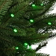 Battery Operated LED Christmas Lights, 20 count, 7 ft., Multiple Colors
