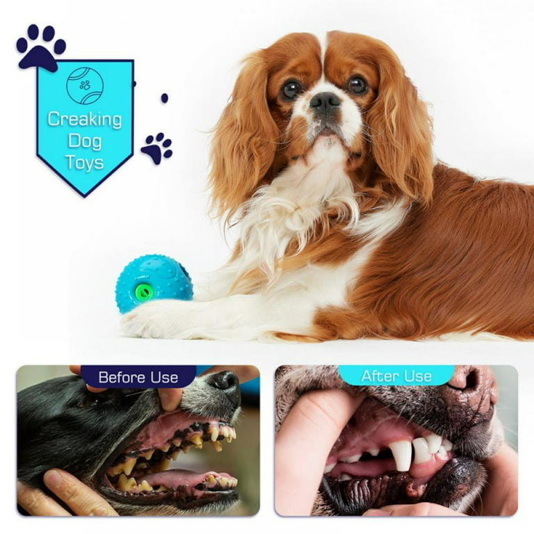 Squeaky Toys for Small Dogs,Cute Dog Tooth Grinding Toys with