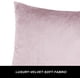 thumbnail image 4 of Dinheiro Fundas de almohada lumbar decorativas pequeñas, fundas de cojín de terciopelo, fundas de almohada para sofá de 12.0 x 20.0 in, juego de 2, 4 of 6