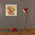 thumbnail image 6 of Epic Graffiti 'November Leaves I' by Silvia Vassileva, Canvas Wall Art, 26"x26", 6 of 8