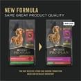 Pure Balance Pro Sensitive Skin And Stomach Purina Pro Plan Sensitive STF9 Skin and Stomach Adult Dog Food Small