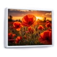 thumbnail image 2 of Designart "Red Poppies landscape With Sunset II" Floral Floater Framed Canvas Print, 2 of 7