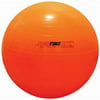 Sportime Therapy and Exercise Ball