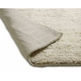 thumbnail image 4 of Chesapeake Microfiber Ivory Shag Area Rug (5'x7'), 4 of 6