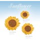 thumbnail image 3 of 3 parches bordados de girasol ER parches para coser, 3 of 4