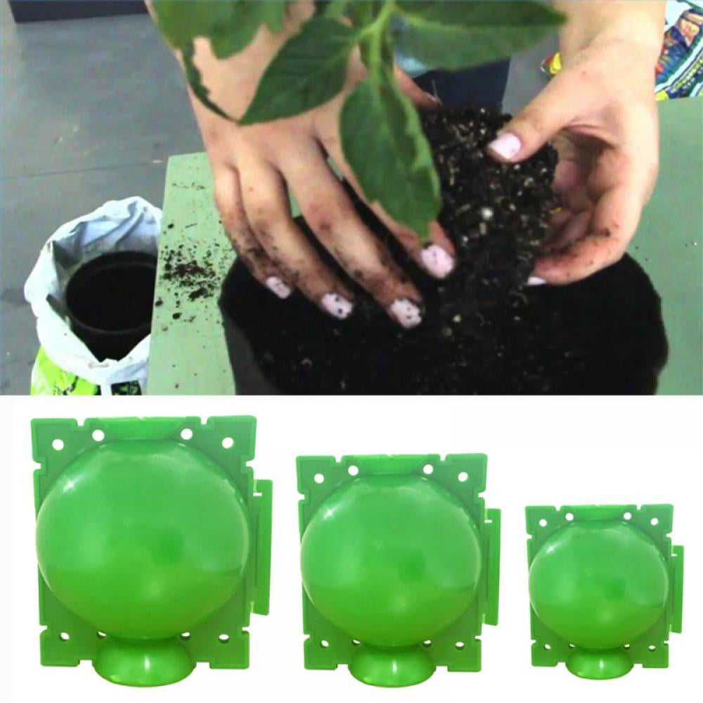 Green Plants Growing Grafting Rooting Devices Box High Pressure Propagation Ball 