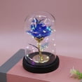 thumbnail image 6 of DefiDgd Valentine's Day Rose Gifts for Women,Glass Rose Flower Light Up Rose in Glass Dome,Birthday Xmas Valentines Gifts for Women Mom Wife Grandma(B), 6 of 7