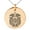 Rose, variant on Stainless Steel Dragon Knot Skuld's Net Viking Rune Engraved Small Medallion Circle Charm Pendant Necklace