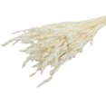 thumbnail image 1 of Ramo seco de caña de Flores secas Inteprter exquisita decoración de fiesta plantas Flores artificiales 30 Piezas, 1 of 6