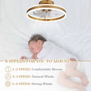20 Gold Flush Mount Reversible Ceiling Fan with APP Control, 6-Speed Low Profile Ceiling Fan with Light and Remote