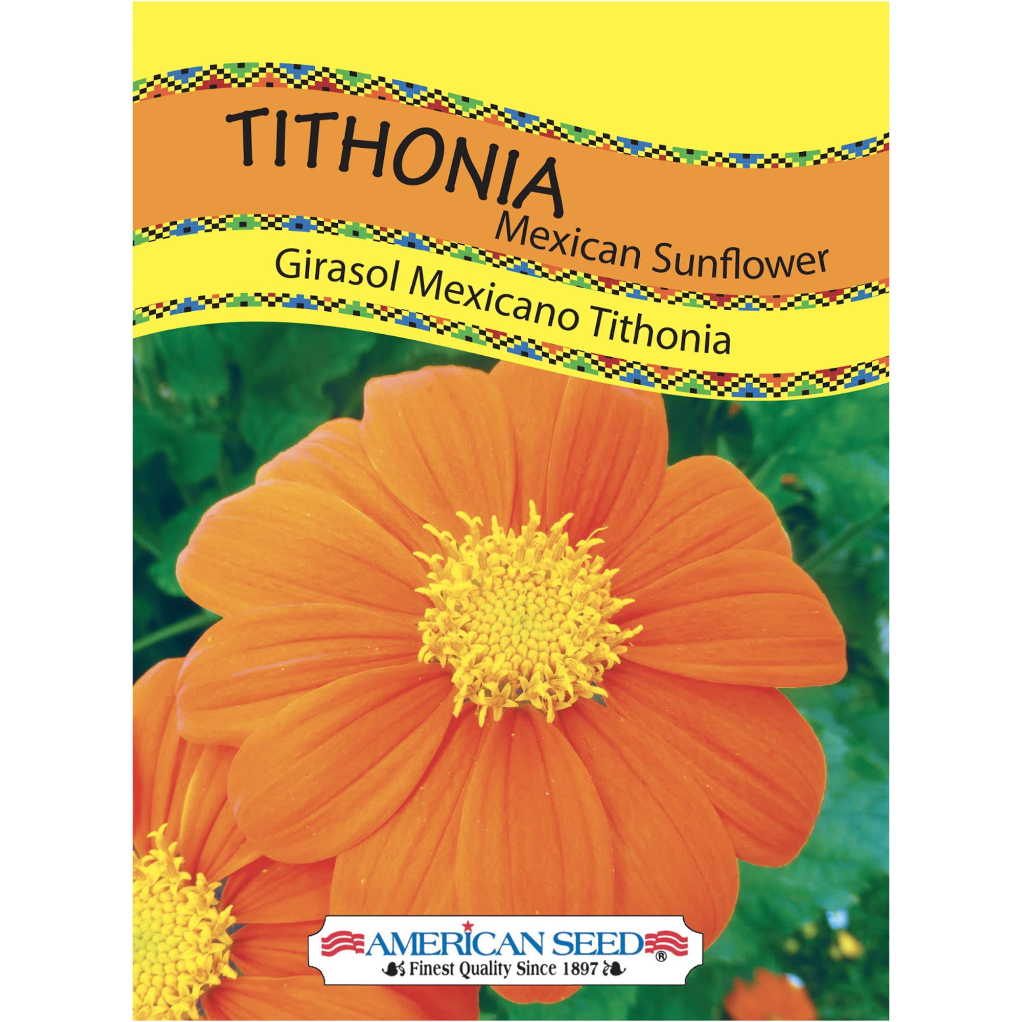 Burpee Candy Cane Mix Zinnia Annual Flower Seeds, 1-Pack, Full Sun