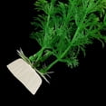 thumbnail image 2 of Artificial Green Plant Grass For Fish ; ; ; ; Tank Aquarium Decor, 2 of 6