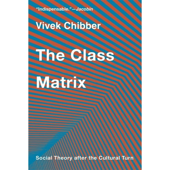 The Class Matrix: Social Theory After the Cultural Turn, (Paperback)