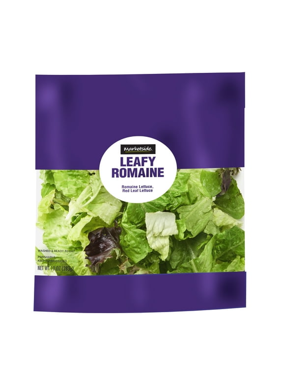 Romaine Lettuce in Lettuce