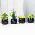 thumbnail image 3 of Artificial Succulent Plant Mini - Plastic Greenery Decoration Faux Potted Plant, 3 of 5