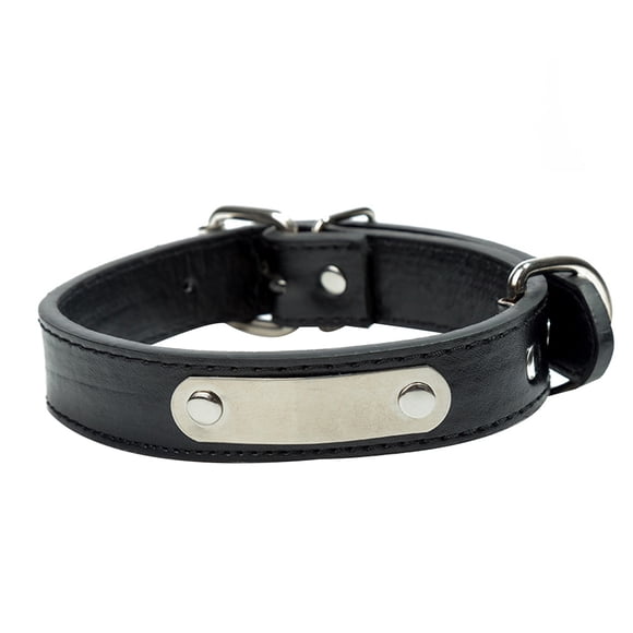 Maoww Adjustable Engraved Puppy Pet Collar ID Tags pet anti-lost collar Stainless Steel PU Anti-lost Name Plate Straps