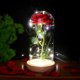 thumbnail image 3 of Rosas de la Bella y La Bestia en cúpula de cristal LED, rosa roja para siempre, Día de San Valentín, día de la madre, regalo romántico especial de Navidad, 3 of 5
