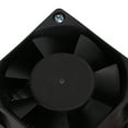 View all media