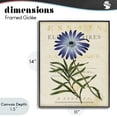 thumbnail image 4 of Stupell Industries Shabby Chic Natural Botany Daisy Black Framed Giclee Art, 11 x 14, by Susan Arnot, 4 of 8