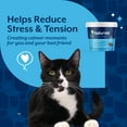 thumbnail image 6 of NaturVet Quiet Moments Calming Aid + Melatonin Soft Chews for Cats 60ct, 6 of 9