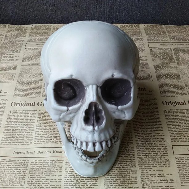 Réplica de cabeza humana de resina de alta calidad, modelo médico Lifesize, Halloween, decoración del hogar, artesanía decorativa, Calavera, 1 unidad