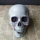 thumbnail image 1 of Réplica de cabeza humana de resina de alta calidad, modelo médico Lifesize, Halloween, decoración del hogar, artesanía decorativa, Calavera, 1 unidad, 1 of 4