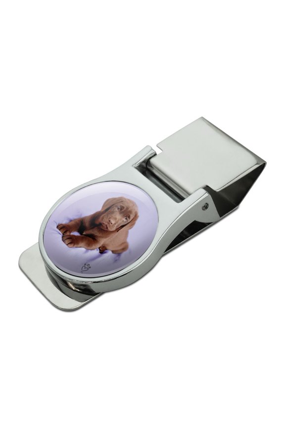 Lab Labrador Puppy Dog on Lavendar Satin Chrome Plated Metal Money Clip