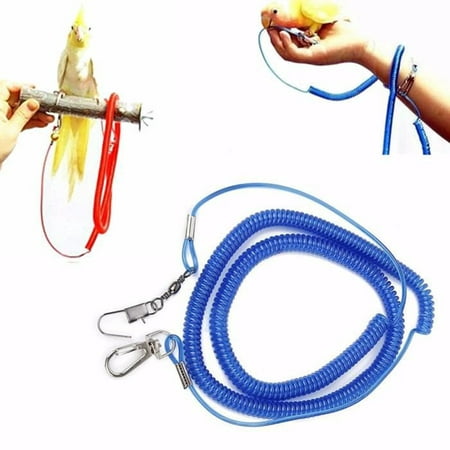 

Bird Free Ropes Parrot Flying Training String Hauling Cord Pigeon Pet Tow Pulling Cable 6m Plastic Leash